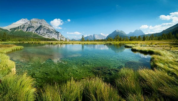 Discover the Perfect Holiday Rental in Norfolk with Exclusive Windmill Tour Access!